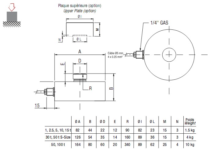 R10X稱重傳感器